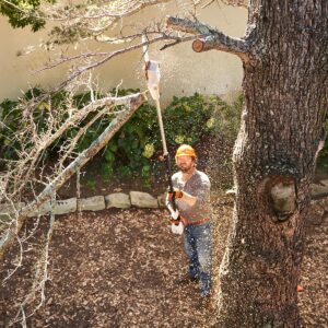 STIHL HTA50 Cordless Pole Pruner Kit - Image 6