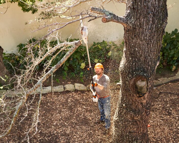 STIHL HTA50 Cordless Pole Pruner Set - Image 6