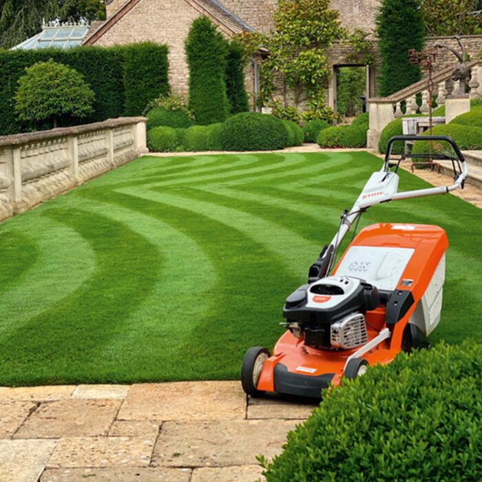 STIHL RM655RS Lawnmower - Image 3