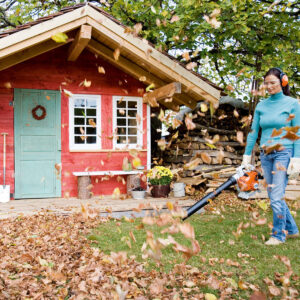 STIHL BG56 Blower - Image 2