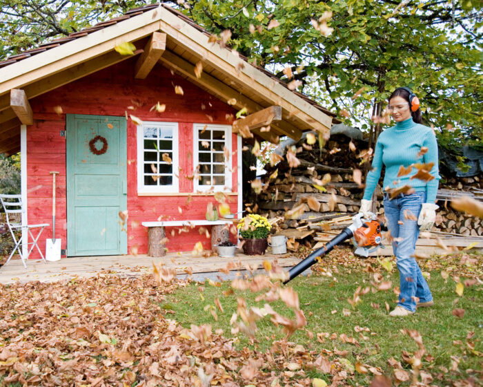 STIHL BG56 Blower - Image 2