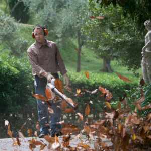 STIHL BG86 Blower - Image 3