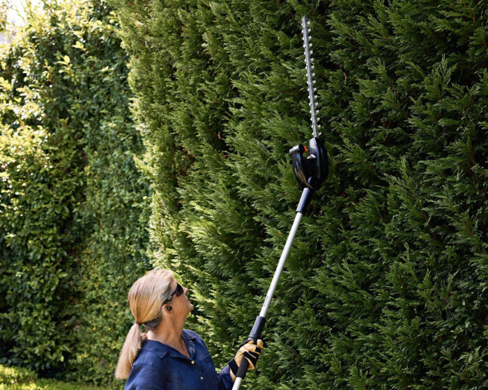 Echo DHCA-310 Cordless Long Reach Hedgetrimmer - Image 2