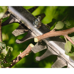 STIHL HSA60 Cordless Hedgetrimmer Set - Image 7