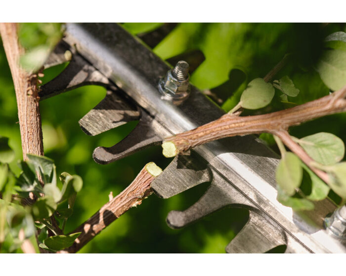 STIHL HSA60 Cordless Hedgetrimmer Set - Image 7