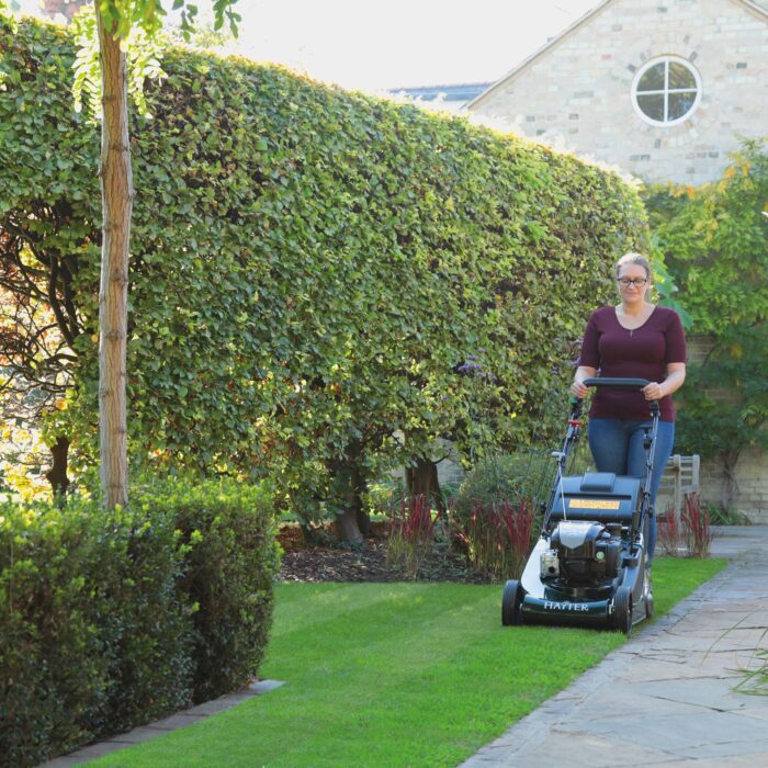 Hayter Harrier 48 Autodrive BBC VS Lawnmower - Image 4