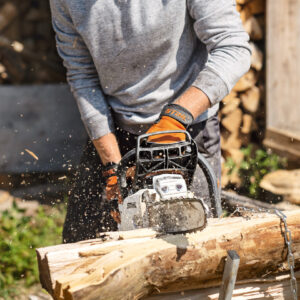 Stihl MS231 Chainsaw - Image 2