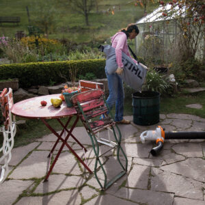 Stihl SHE71 Blower / Vacuum - Image 2